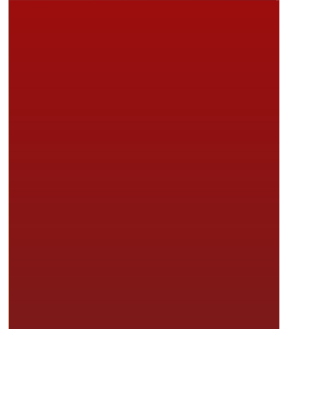 Our Service